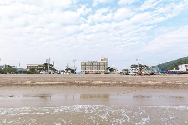 Ocean Beach Hotel Taean Eksteriør billede